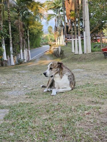 Agroturismo Acogedor Alojamiento Rural