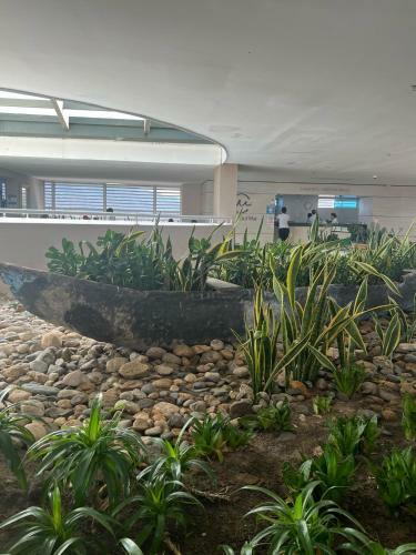Apartamento Con Vista Al Mar, Reserva Del Mar 1637