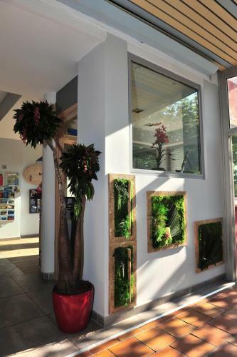 Hotel Les Flots Bleus