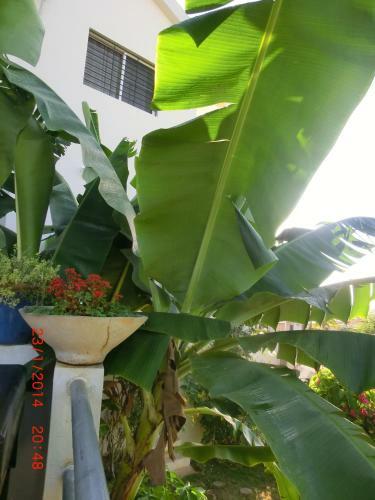 Hostal Chambres D�hotes La Romana