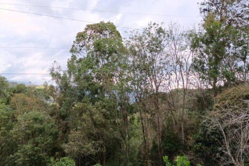 Villa Ecocaba�a Con Jacuzzi Ecocaba�as Byb