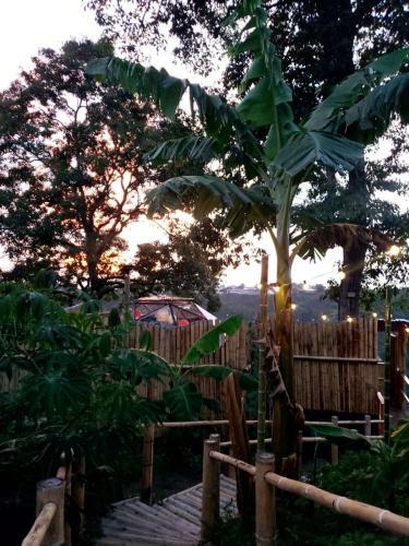 Happy Glamping Quindio - Tipo Domo Trasl�cido