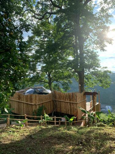 Happy Glamping Quindio - Tipo Domo Trasl�cido