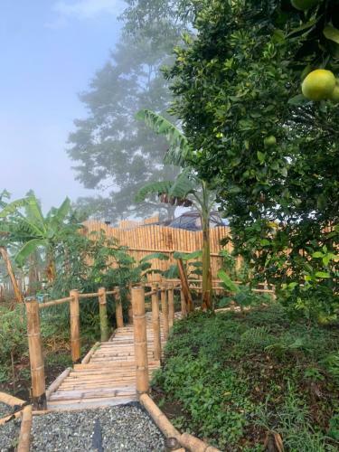 Happy Glamping Quindio - Tipo Domo Trasl�cido