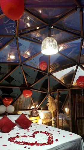 Happy Glamping Quindio - Tipo Domo Trasl�cido
