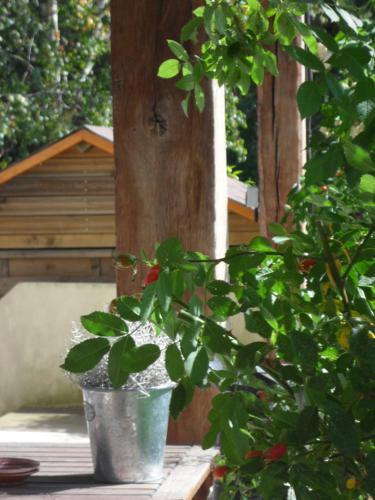 Gite Maison Prairie Bonheur
