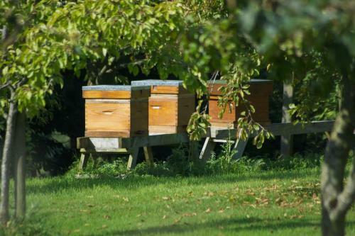 Agroturismo Lough Bishop House Farm Stay