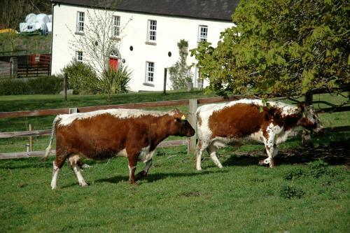 Agroturismo Lough Bishop House Farm Stay