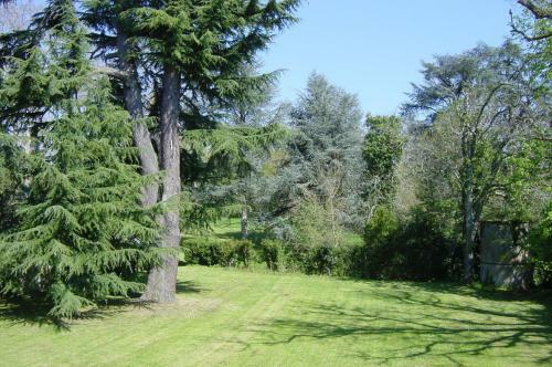 Domaine De Fonroques