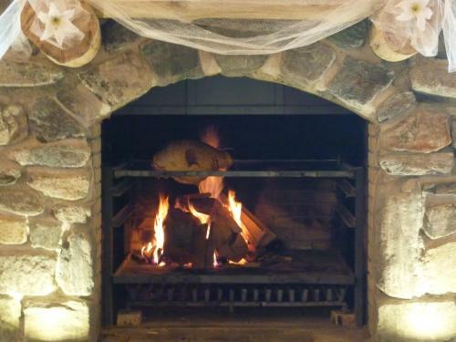 Hostal Rezidence U Jezera