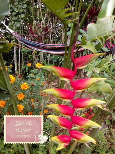 Agroturismo Munay, Posada Rural Para El Sosiego