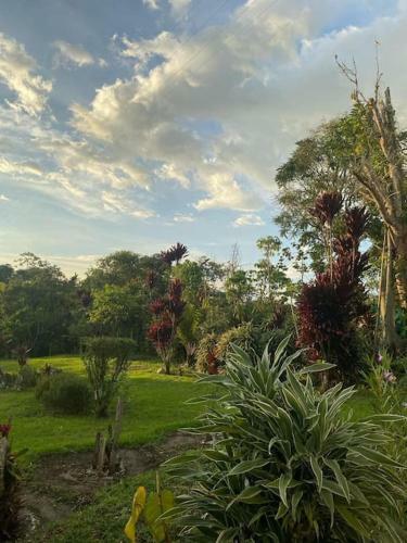 Apartamento Bird Paradise