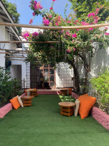 Vegan Garden Hostal