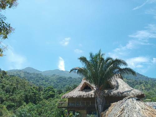 Hotel Frana Lodge