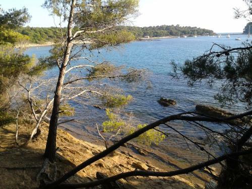Hotel H�tel Les Palmiers