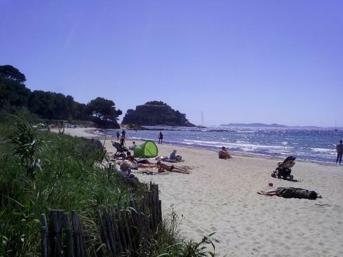 Hotel H�tel Les Palmiers