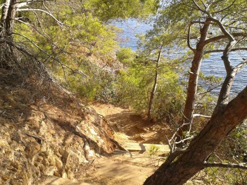 Hotel H�tel Les Palmiers