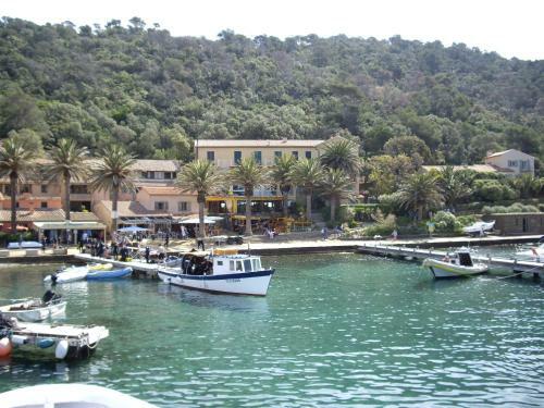 Hotel H�tel Les Palmiers