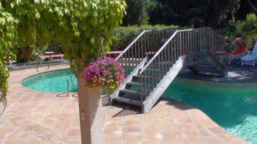 Hotel H�tel Les Palmiers