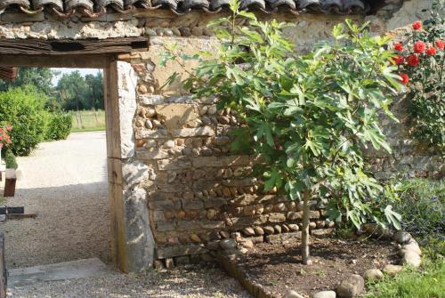 Bed & Breakfast Le Moulin De Champagne
