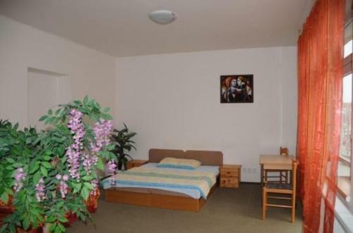 Hostal Penzion Pupendo