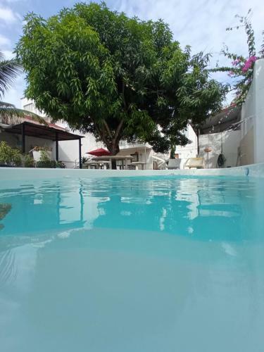 Hotel Caba�a El Arbol Cartagena