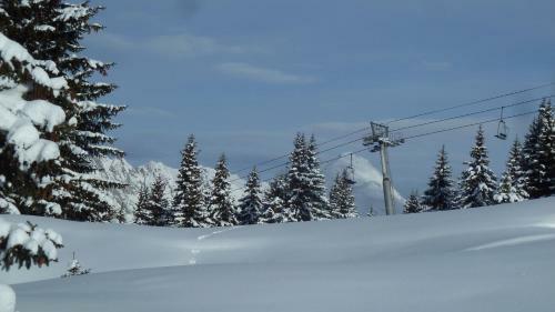 Apartamento Chalet Les Garands
