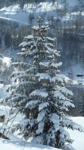 Apartamento Chalet Les Garands