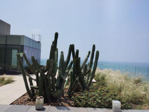 Apartamento Edificio H2 Apto 2103 Cartagena.