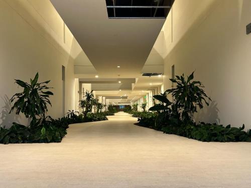 Luxury Apartament, Morros Eco Vista Al Mar.