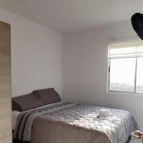 Apartamento Torre Primi 13