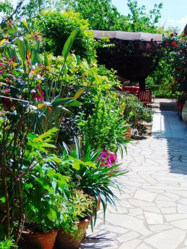 Bed & Breakfast Aux Amandiers