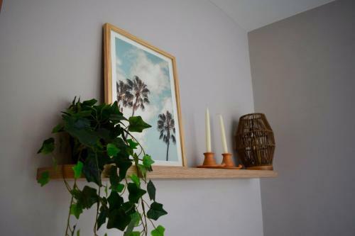 Apartamento Chic Downtown Loft - Near Zona Rosa