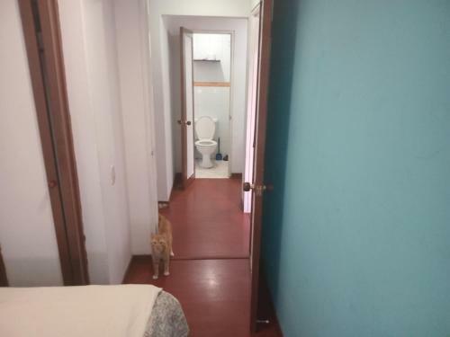 Habitaci�n Privada - Teusaquillo La Soledad