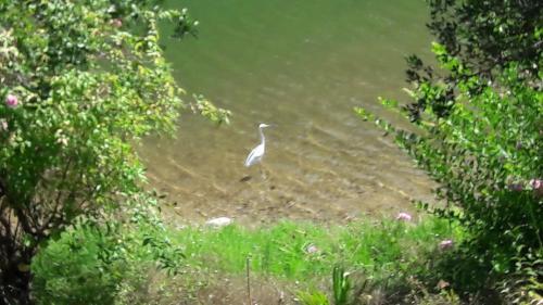 Caba�a De Adobe En Lago Rapel