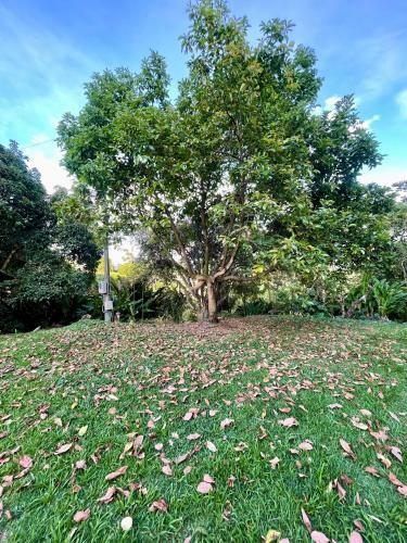 Hostal El Valle De Las Ca�as Gordas