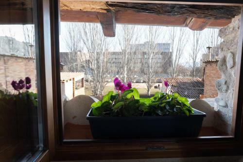 Apartamento Niu De Queralt
