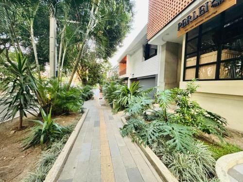 Apartamento Laureles Loft W Balcony