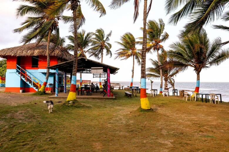 Hotel El Palmar Tours