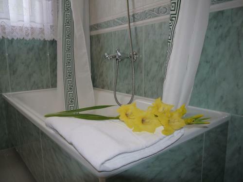 Hotel Rochas