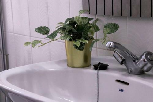 Acogedor Apartamento C�ntrico