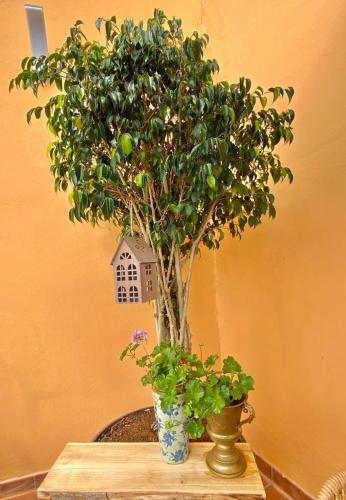 Apartamento Casa Cotejo, Estilo Y Comodidad En Tacoronte