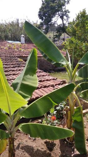 Rural House To Take A Break, La Serreria 25