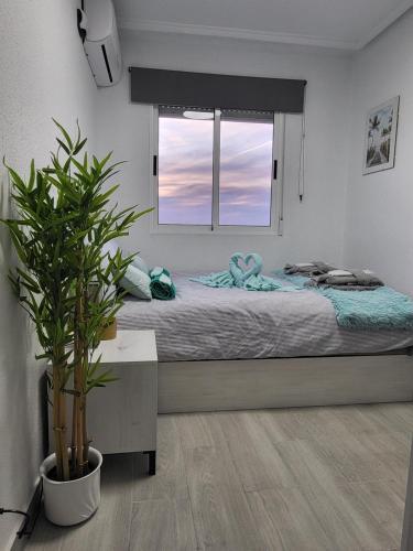 Apartamento Skyline 21