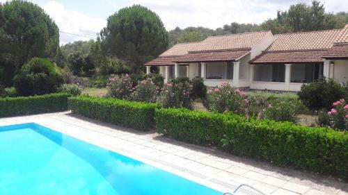 Lemontree Apartments