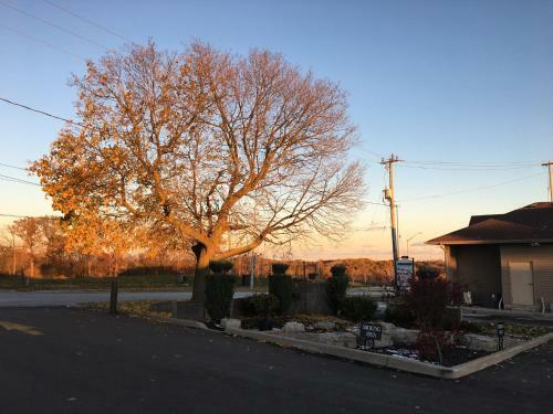 City View Motel