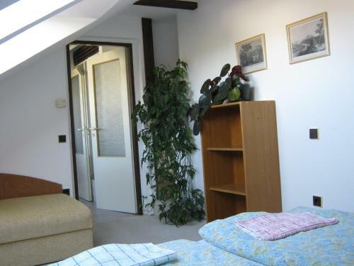 Hostal Privat Apartma Ulrych