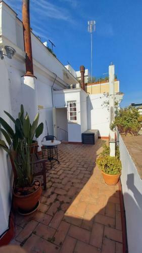Apartamento Santa Cruz Casco Antiguo Con Terraza