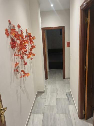 Apartamentos Centro Hist�rico