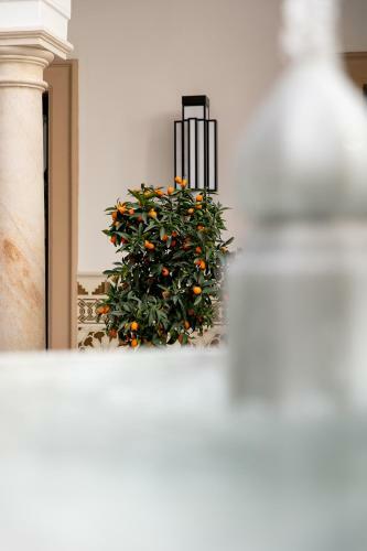 Hotel Casa Palacio Don Ram�n